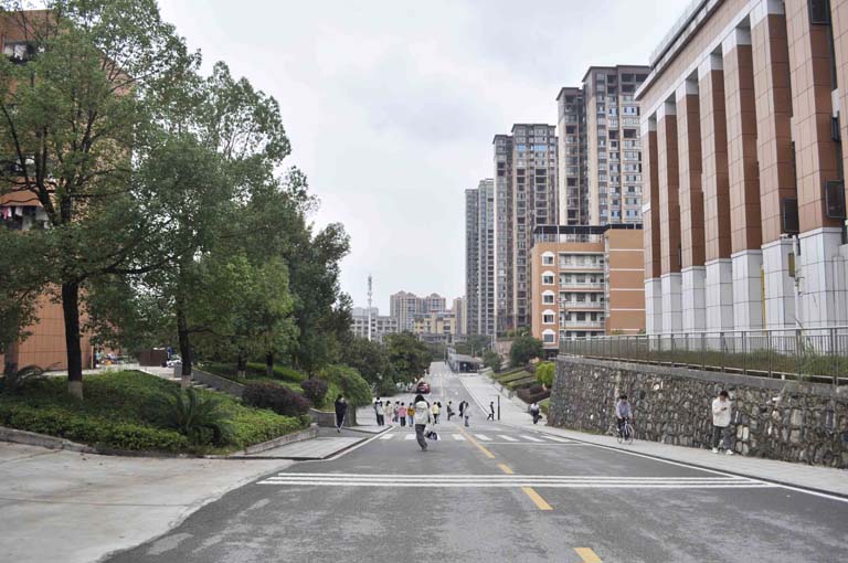 校园径影_1.jpg