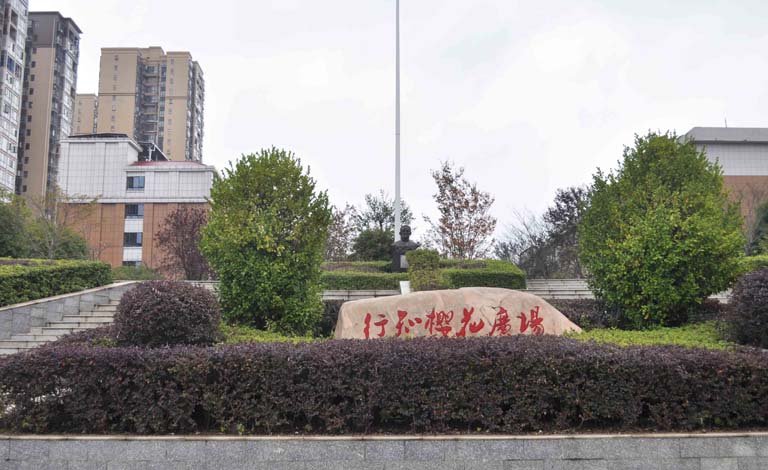 樱花广场_1.jpg