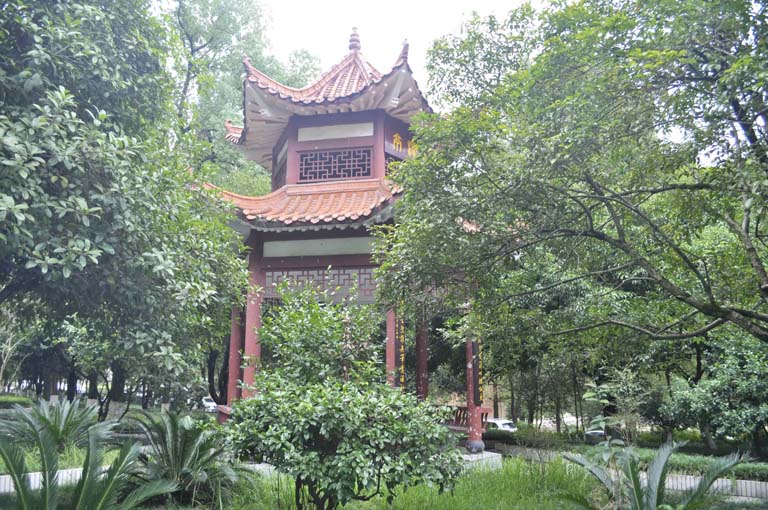 幽林闲亭_1.jpg