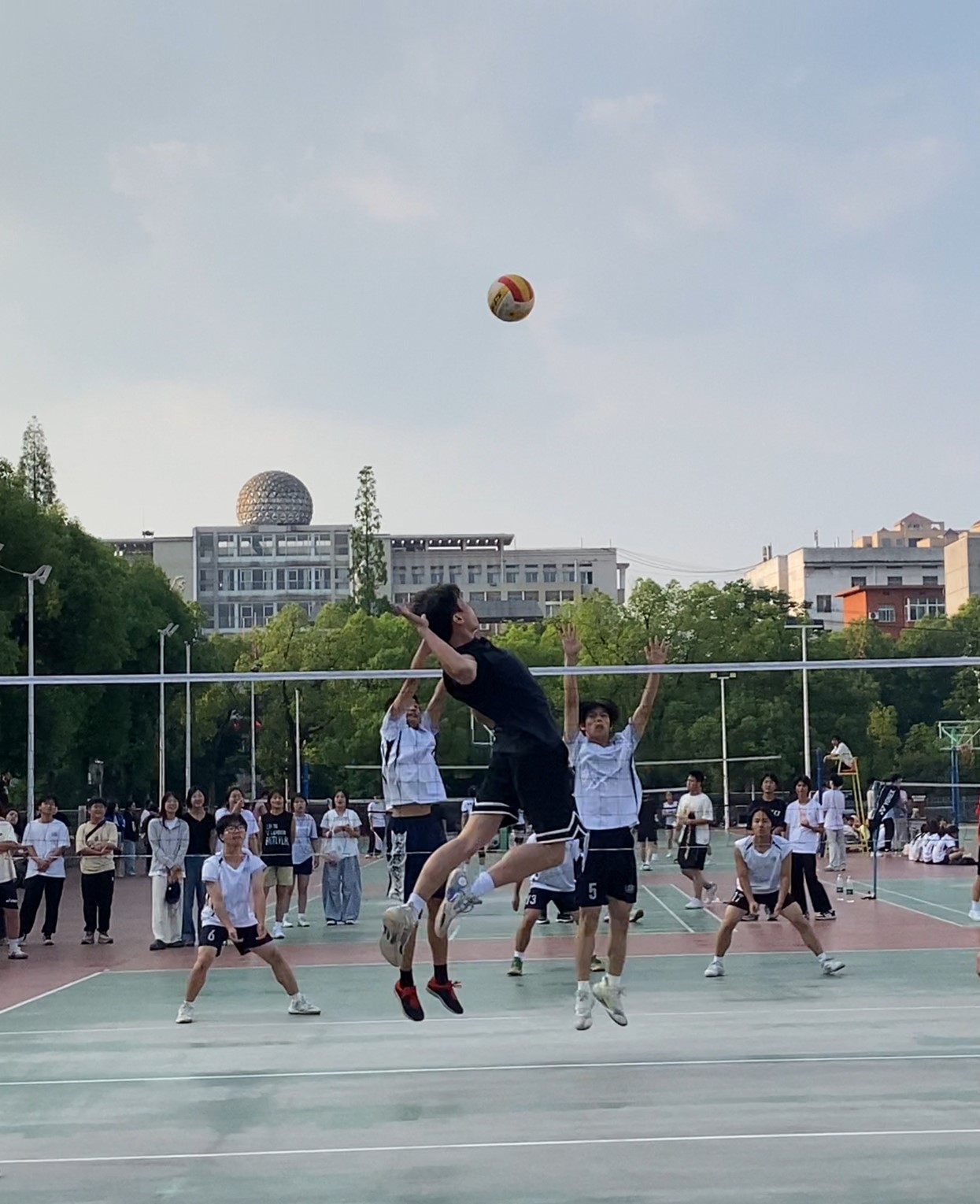 图片1.jpg 图片1.jpg
